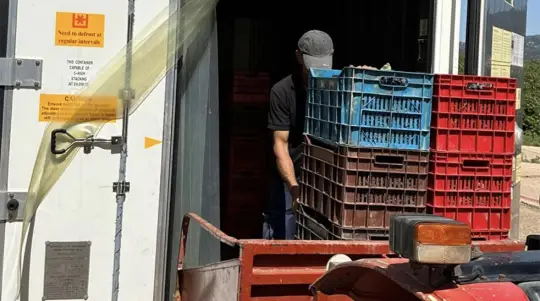 ArcticStore Cold Storage Greece Wineries – Refrigerated Containers
