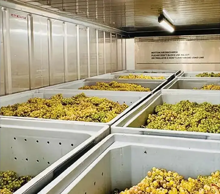 Wineries-and-Vineyards-1