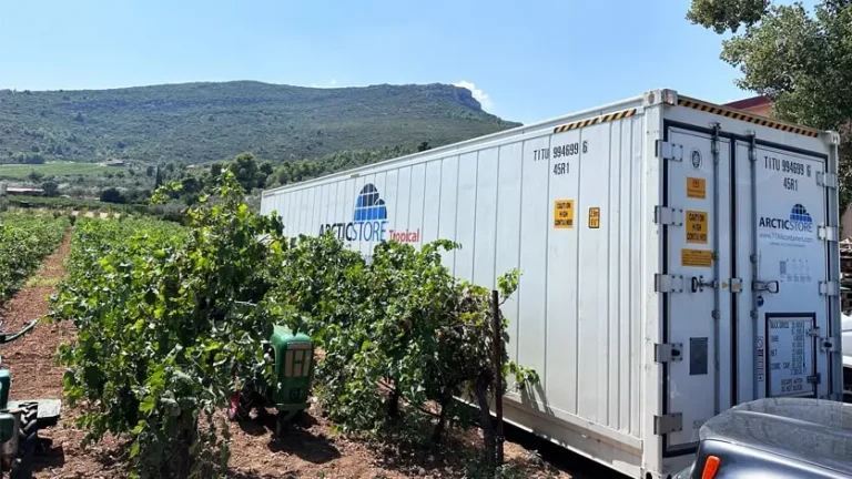 how real-time data protects your supply chain