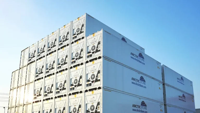 Profit in precision: how cold chain best practice drives better business