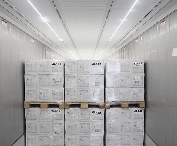Lights-Container-Accessories-1