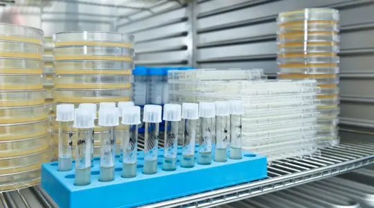 Pharmaceutical cold chain storage for temperature-sensitive medicines and therapies